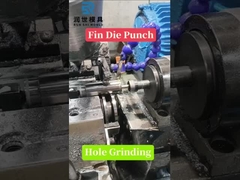 ฟิน เดอ พันช์